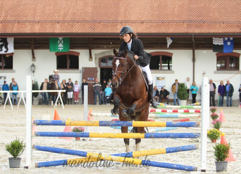 FM Hengst Quésac, étalon FM Quésac